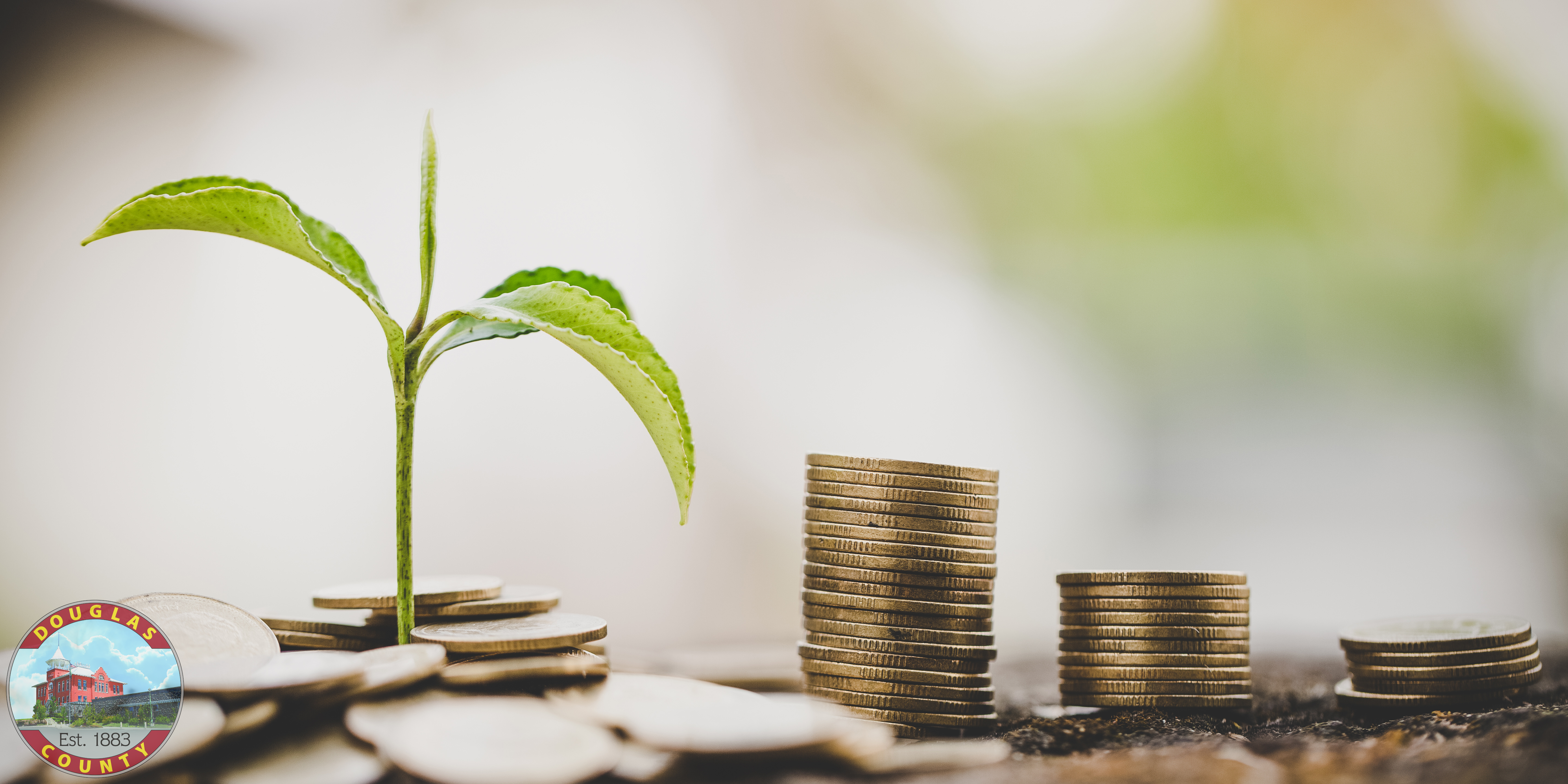 image of tree and money
